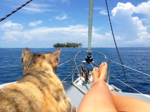 Liz Clark, la mujer que navega con su gato